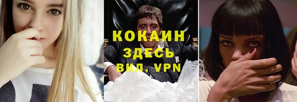 ECSTASY Горняк