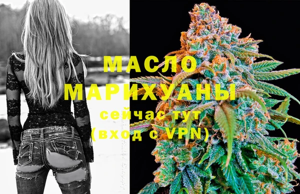 дмт Козельск