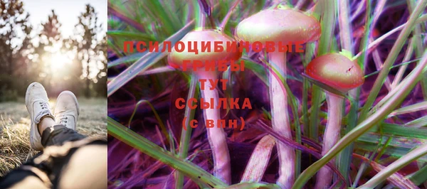 твердый Балабаново