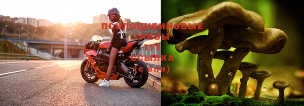 спиды Баксан